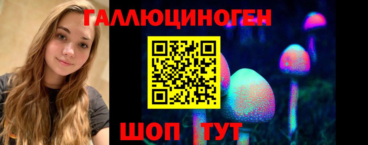 Псилоцибиновые грибы Psilocybe  Вход с VPN  Отрадный  Псилоцибиновые грибы Magic Shrooms 